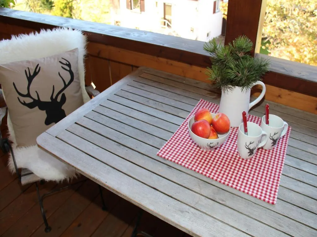 Casa Claudia - Die Schoene 4-Sterne-Fewo - Im Sommer Bergbahntickets Inclusive Oberstdorf 0*,  Germany